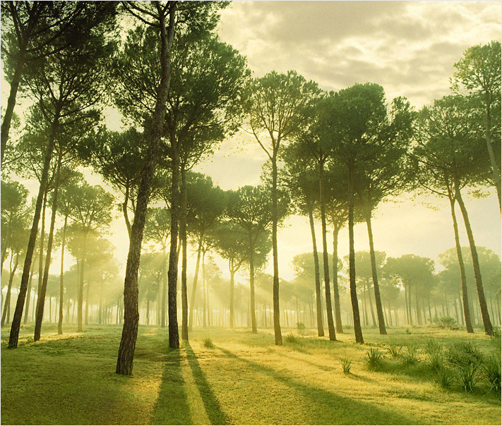  | Alexander Magerl Photography