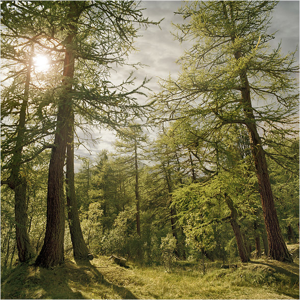  | Alexander Magerl Photography
