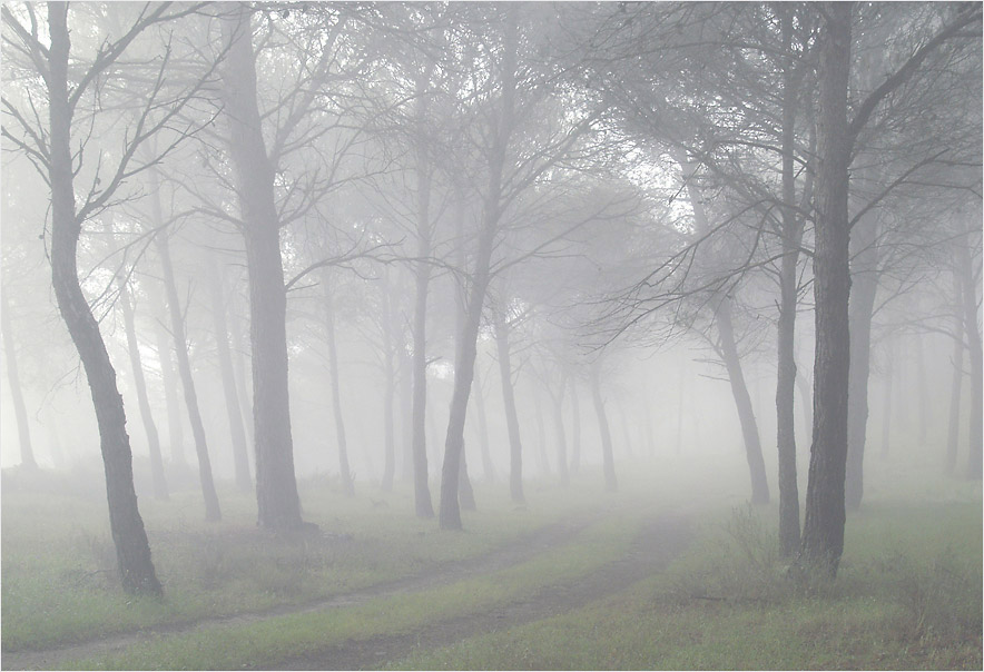  | Alexander Magerl Photography