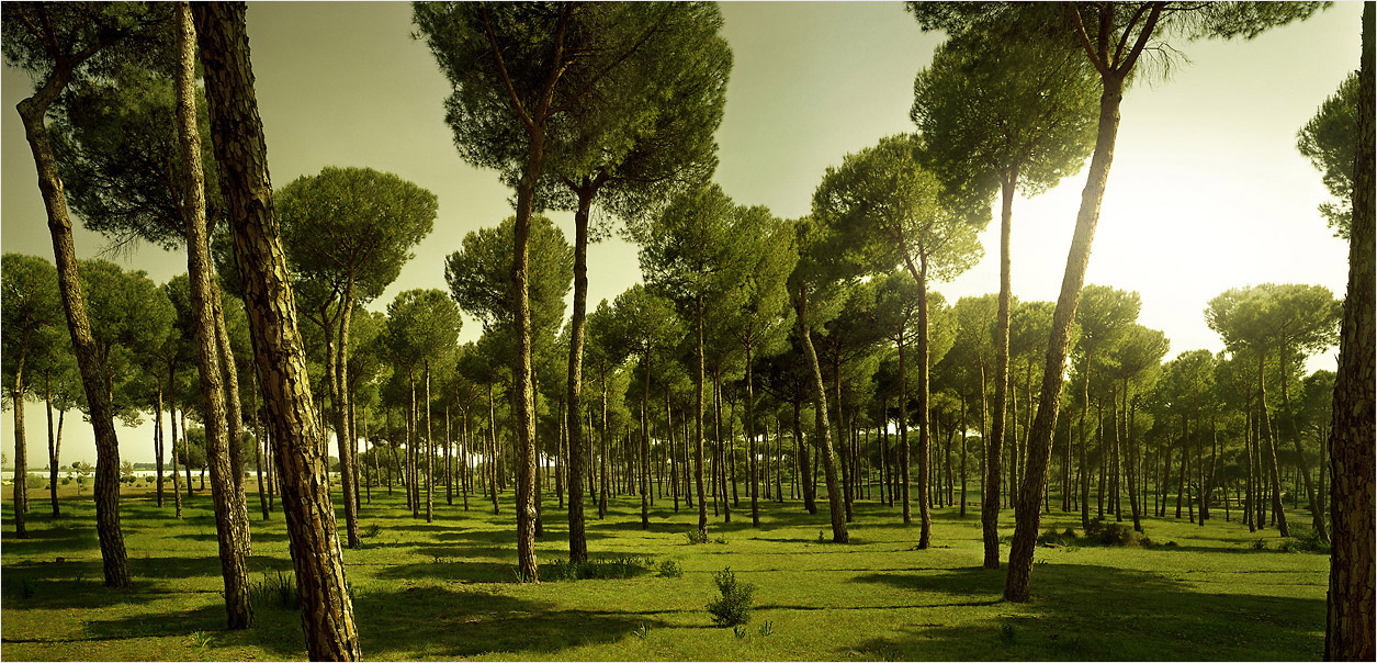  | Alexander Magerl Photography