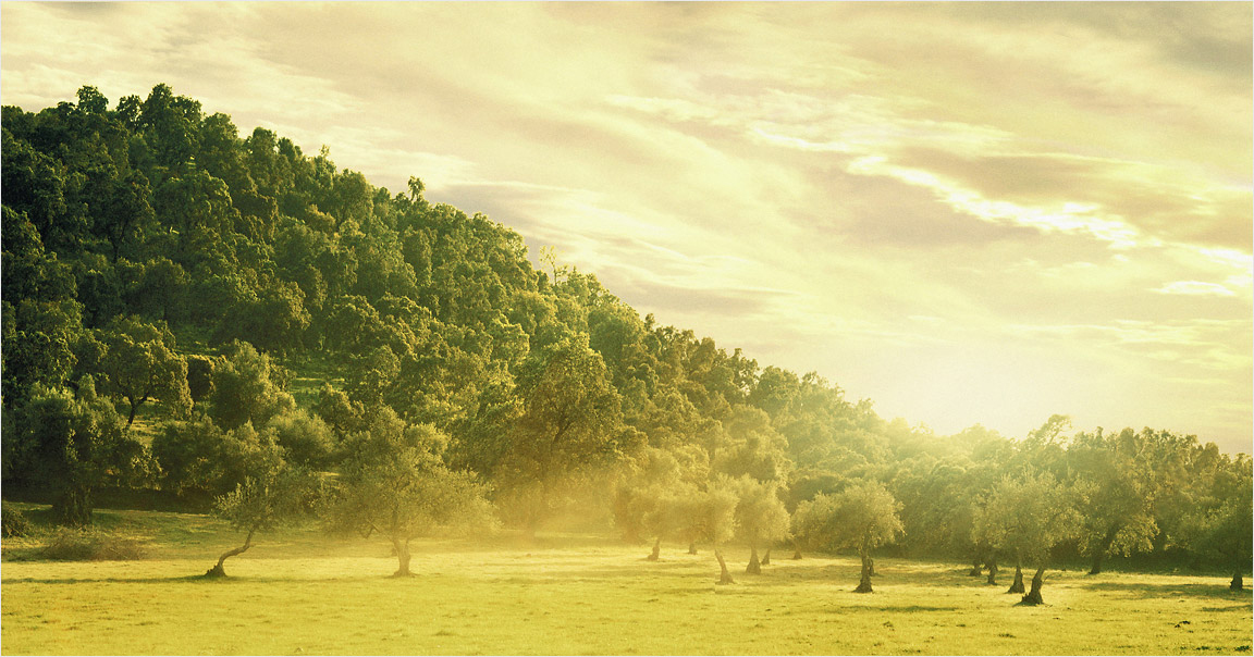  | Alexander Magerl Photography